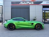 Mercedes-Benz AMG GT R - Mercedes-Benz AMG GT R: Sportwagen