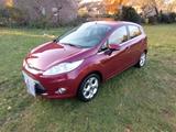 Ford Fiesta 1,25 60kW Titanium Titanium - Ford Fiesta aus 2009: 1.6