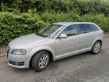 Audi A3 2.0 TDI DPF SPORTBACK, INSPEKTION,SCHNÄPPCHEN - : Schnäppchen