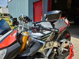 Aprilia Tuono V4 Factory - APRILIA FACTORY