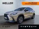 Lexus NX 350h E-FOUR Overtrail *Pano*HUD*Mark Levinson - Lexus aus 2024: Nx