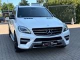 Mercedes-Benz W166 ML 350 CDI BlueTec 4Matic AMG LINE - Mercedes-Benz ML 350 Gebrauchtwagen in Hamburg