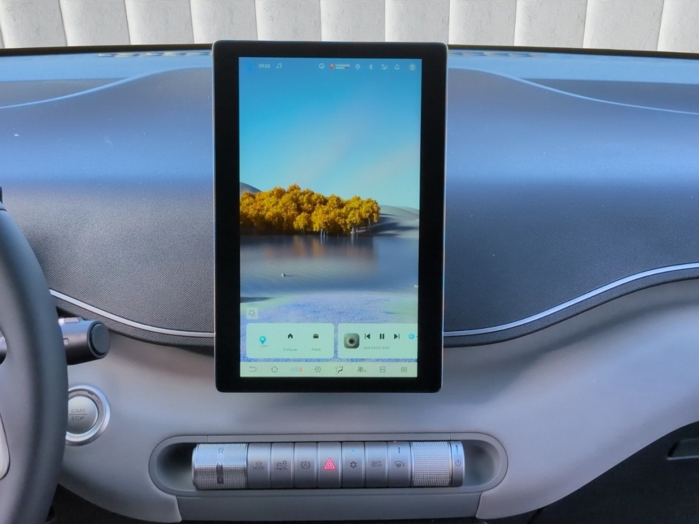 BYD DOLPHIN SURF