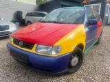 Volkswagen Polo 1.0 Servo Harlekin - Volkswagen Polo: Harlekin