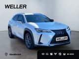 Lexus UX 250h Style Edition *Bi-LED*ACC*CAM*SHZ*CarPla