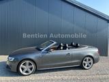 Audi A5 Cabriolet 2.0 TFSI quattro S-Line,Kamera,Xeno - gebrauchte Audi A5 aus dem Jahr 2013