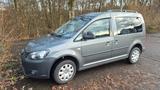 Volkswagen Camping Caddy 1,6TDI 75kW BMotion T Roncalli - Volkswagen Caddy: Camping
