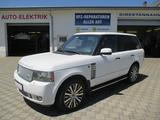 Land Rover Range Rover 5.0 HSE Autom., Leder, Navi - Land Rover Range Rover: Weiß