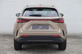 Lexus NX 350h E-FOUR Overtrail + Panoramaglasdach - Lexus aus 2024: Nx