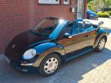 Volkswagen New Beetle Cabrio, 1.4,  gepfl., Leder, Kl... - Volkswagen New Beetle mit Benzin-Antrieb: Cabrio, 1.4