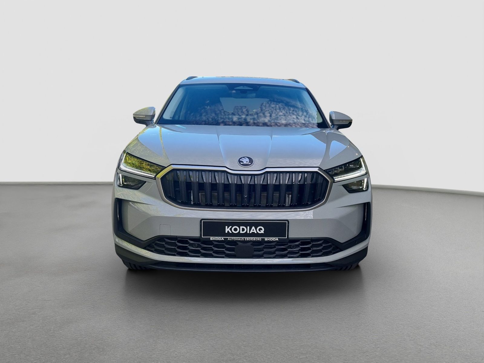 Skoda Kodiaq - Bild 3