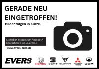 Mitsubishi Grandis - Vorschau Bild 3