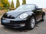 Volkswagen VW Beetle Cabrio unter 50.000 km gelaufen! - Volkswagen Beetle 5C