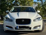 Jaguar Raumwunder mit Fahrspaß - Jaguar Gebrauchtwagen von 2013