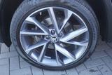 Skoda Kodiaq 1.5 TSI Sportline LED Navi Kamera Memory - Skoda mit Benzin-Antrieb: Scheckheftgepflegt
