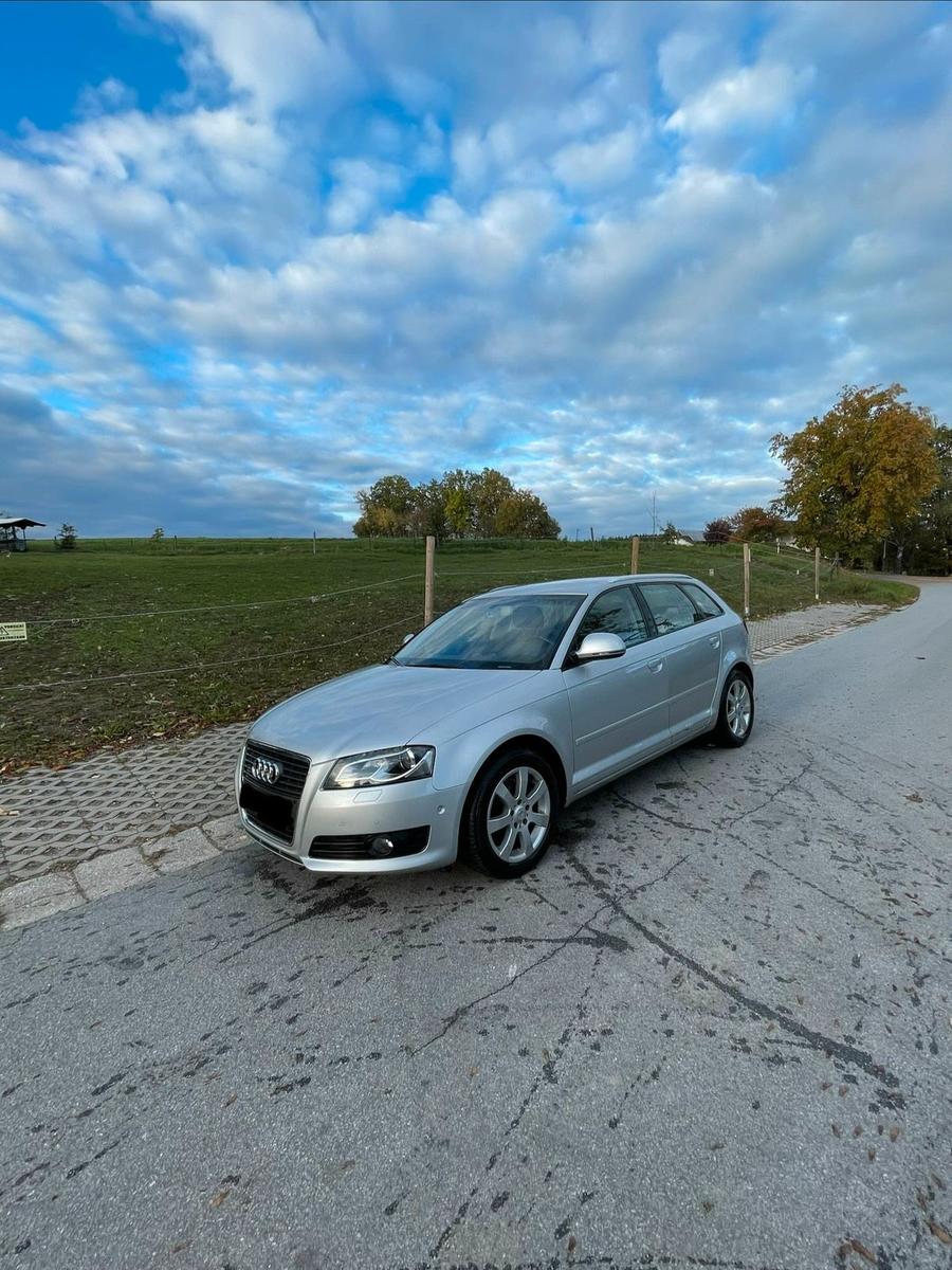 Audi Quattro 2009 — вигляд ззаду