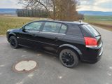 Opel Signum 1.8 - - Opel Signum aus 2007