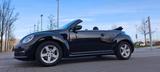 Volkswagen Beetle Cabriolet Mod.2017,Tüv, Reifen,Insp neu!! - Volkswagen Beetle in Bochum