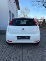 Fiat Punto 1.2 8V YOUNG II  - Fiat Punto von privat