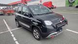 Fiat Panda 1.0 GSE Hybrid CROSS CROSS - Fiat Panda Gebrauchtwagen in Bremen