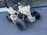 Triton 450 QUAD SP450-SM - QUAD VON 251 BIS 500 CCM