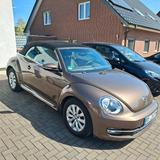 Volkswagen Beetle 1.Hand Checkheft gepflegt - Volkswagen Beetle in Bochum