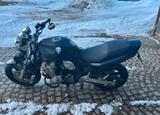 Suzuki Bandit 600 A2 tauglich gedrosselt  - SUZUKI 1995 BANDIT 600