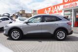 Ford Kuga 2.0 EcoBlue Titanium Aut.AWD Navi ACC DAB - Ford Kuga Gebrauchtwagen in Dresden