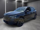 Skoda Kamiq 1.5 TSI Monte Carlo KAMERA PANO APP WINTER - Skoda Kamiq Gebrauchtwagen in Köln