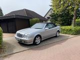 Mercedes-Benz CLK 230 KOMPRESSOR ELEGANCE Elegance - Mercedes-Benz CLK 230: Coupe