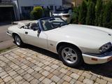 Jaguar XJS 4.0 Cabrio - Sammlerzustand - Jaguar aus 1995