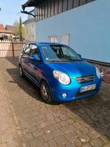 Kia Picanto 1.1 Cool - Kia Picanto Cool mit Benzin-Antrieb