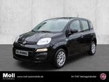 Fiat Panda Hybrid Klima Tagfahrlicht Radio ZV ABS Ser - Fiat Panda Gebrauchtwagen in Aachen