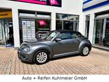 Volkswagen Beetle Cabriolet Design BMT/Start-Stopp - Volkswagen Beetle mit Diesel-Antrieb: Cabrio