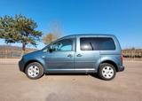 Volkswagen Caddy Life 1.6 Gewinner-Caddy 5S Gewinner-Caddy - Volkswagen Caddy: Gewinner