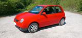 Volkswagen Vw Lupo 1.4 75PS Klima E-Fenster - Volkswagen Lupo: 1.7