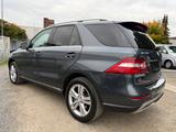 Mercedes-Benz ML 350 CDI BlueTec 4Matic/Pano/Alcantara/Xenon - Mercedes-Benz ML 350 Gebrauchtwagen