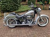 Harley-Davidson FLSTN  Softail Deluxe - Angebote