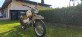 Simson Habicht - SIMSON HABICHT
