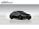 Alfa Romeo Giulia Quadrifoglio 2.9 V6 Bi-Turbo Navi Leder D - Alfa Romeo Gebrauchtwagen