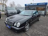 Mercedes-Benz E 55 AMG - Mercedes-Benz E 55 AMG aus 1998