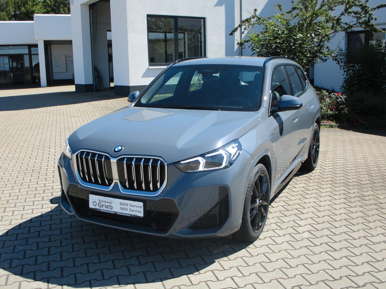 BMW X1 sDrive 18 i M Sport 19" AHK LED Kamera