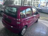 Fiat Panda 1.2 8V Classic - Fiat Panda Gebrauchtwagen in Essen