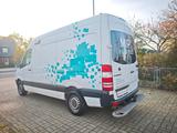 Mercedes-Benz Sprinter II Kasten 316/316 NGT/316 LGT 137121 Km - Mercedes-Benz Sprinter: Ngt