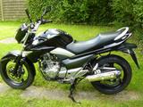 Suzuki GW250 Inazuma - Offers