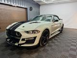 Ford Mustang Cabrio GT500 Shelby look, Cactus Gray - Ford Mustang in Dortmund
