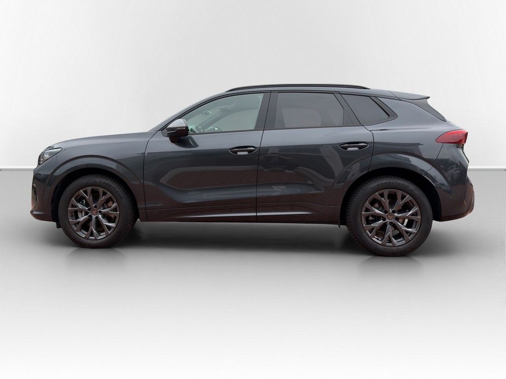 Cupra Terramar - Bild 10