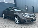 Volkswagen Eos 2.0 TDI DSG *XENON*LEDER*DCC*NAVI*KEYLESS - Volkswagen aus 2011: Cabrio