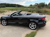 Audi A3 2.0 TDI Cabriolet - Mod. 2016 - Audi A3: 20 TDI