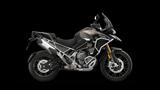 Triumph TIGER 1200 RALLY EXPLORER 2026 SOFORT LIEFERBAR - Triumph Tiger 1200 Rally Explorer